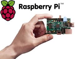 raspberry